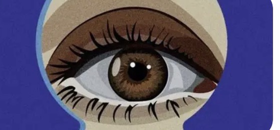 Freida McFadden : phénomène littéraire… ou recette marketing bien rodée ?