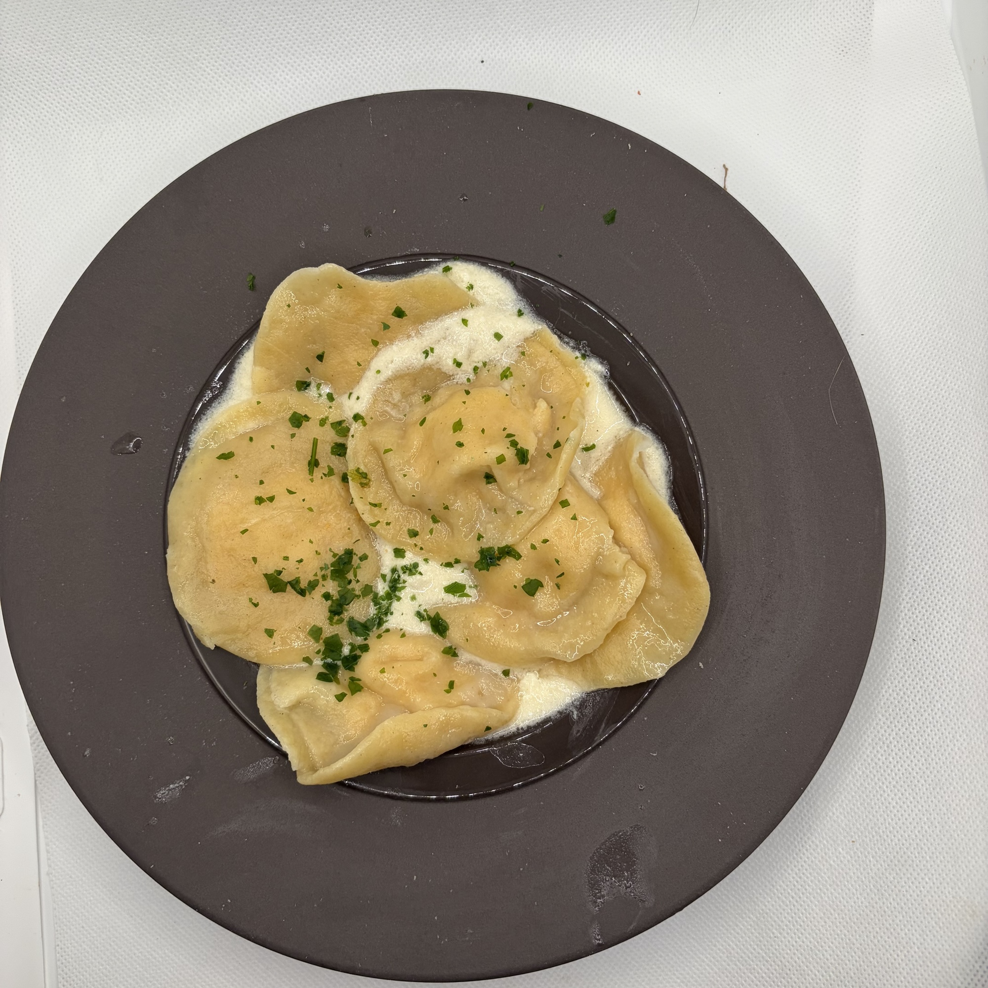 Raviolis au saumon, saint Jacques & aneth